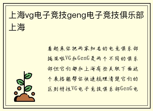 上海vg电子竞技geng电子竞技俱乐部上海